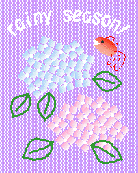 �~�J�irainy season�j���߂���ΉāI